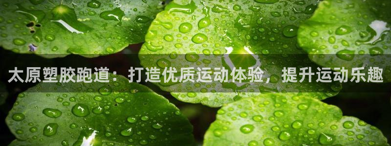 凯时kb88会员登录：太原塑胶跑道：打造优质运动体验