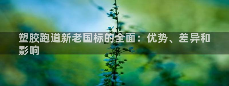 尊龙凯时可以提现吗:塑胶跑道新老国标的全面:优势、差异和
影