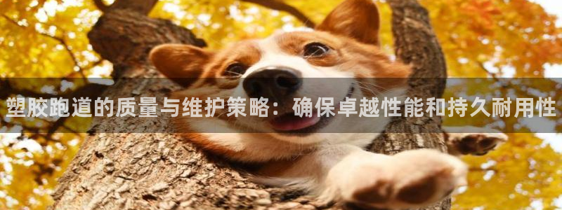 尊龙 国外:塑胶跑道的质量与维护策略:确保卓越性能和持久耐用